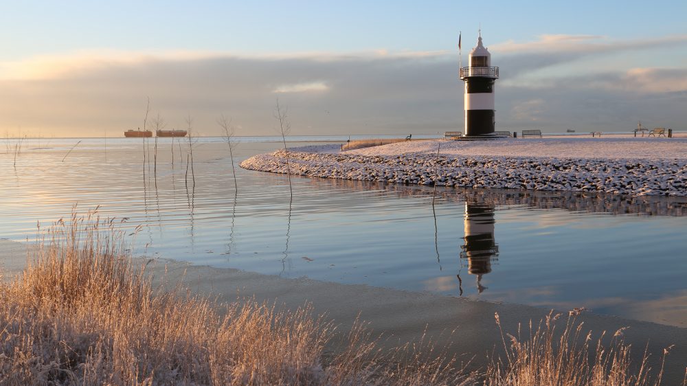 Kleiner Preuße im Winter