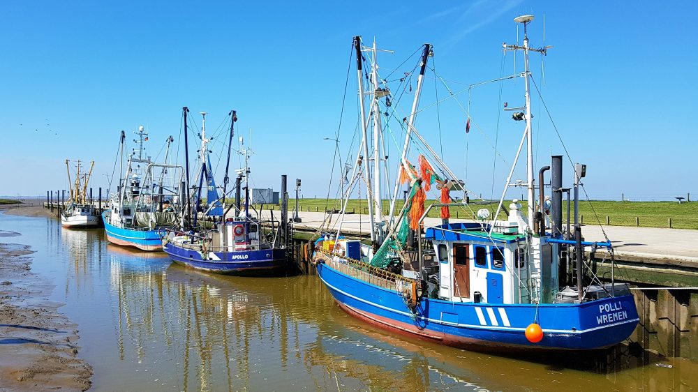 Wremer Hafen im Sommer