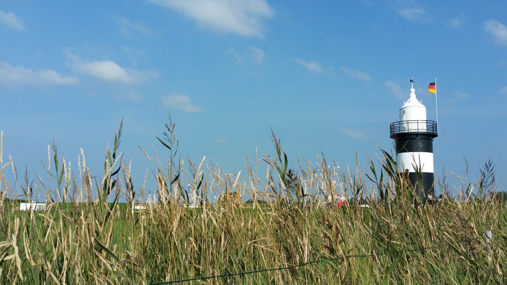 Kleiner Preuße im Sommer