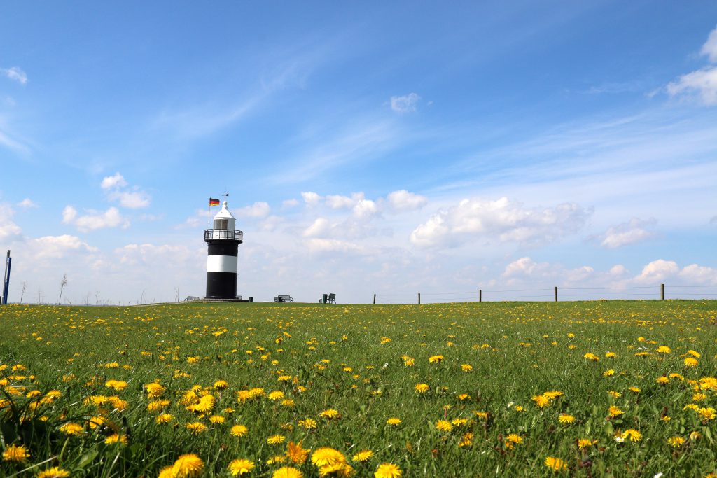 Leuchtturm Wremen mit Löwenzahn